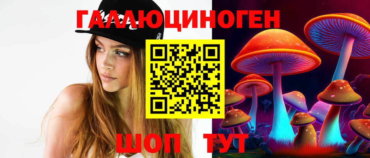 Псилоцибиновые грибы GOLDEN TEACHER  Вход с VPN  где продают наркотики  Котельники 